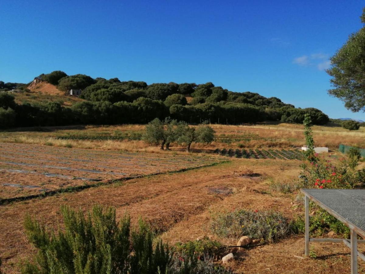 Prendas De Sole Alloggio per agriturismo *