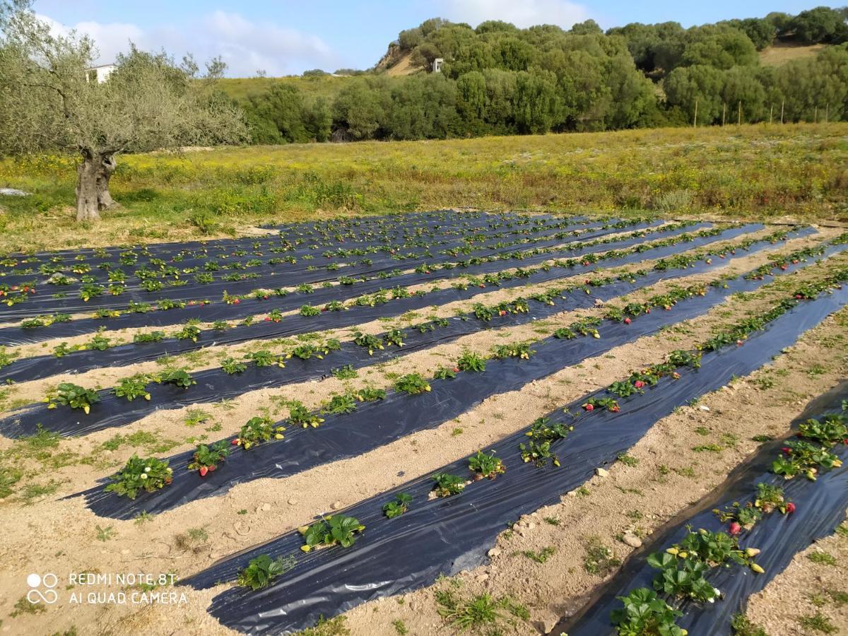 Alloggio per agriturismo Prendas De Sole Olbia