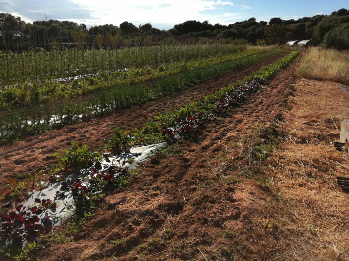 Prendas De Sole Farm stay *