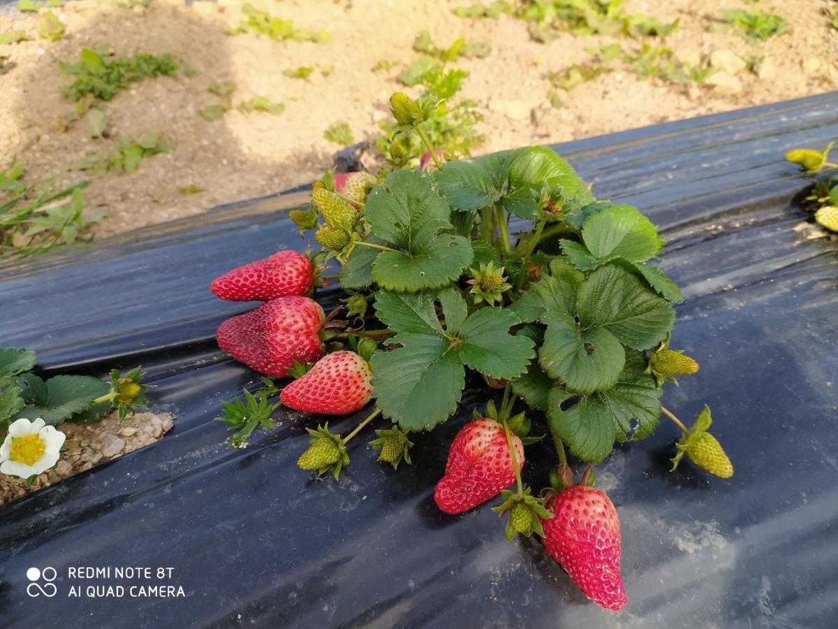 Farm stay Prendas De Sole