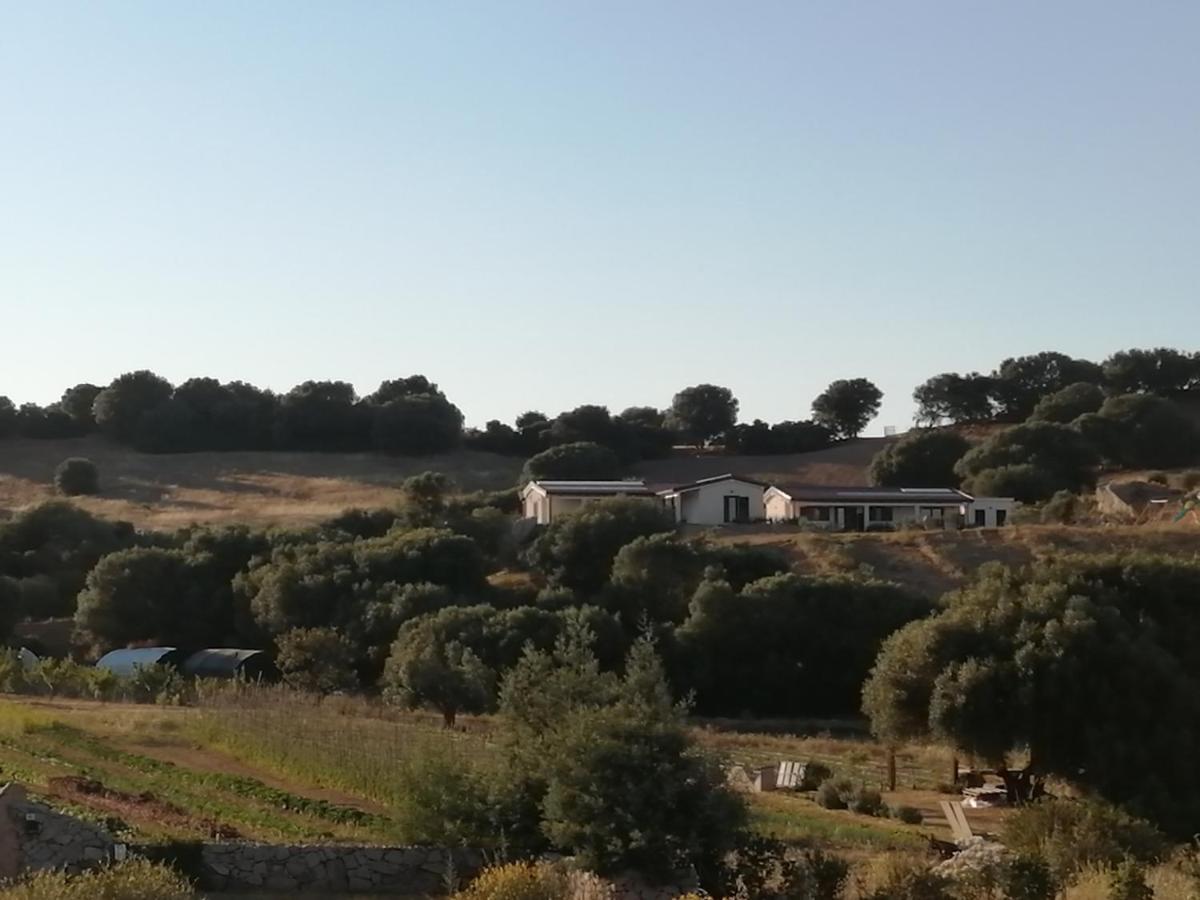 Alloggio per agriturismo Prendas De Sole Olbia
